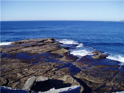 Shark Point